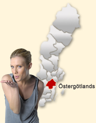 Din region hos Den svenska Dejting-ExpertenSexdating portalerna &Ouml;sterg&ouml;tland