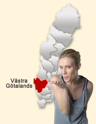 Din region hos Den svenska Dejting-ExpertenSexdating portalerna V&auml;stra G&ouml;taland